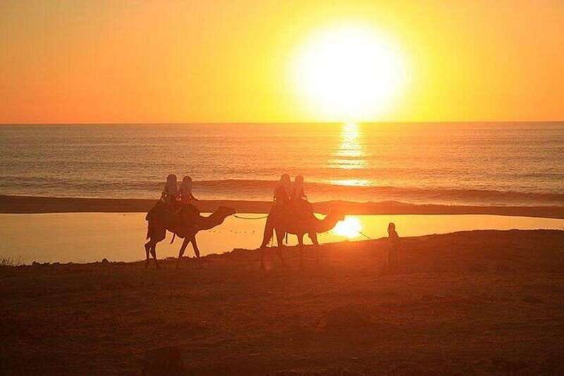 Cabo: Camel Ride On The Beach - Final Thoughts