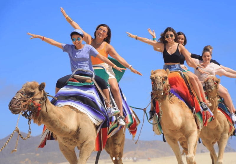 Cabo: Camel Safari Adventure with Tacos - Key Points