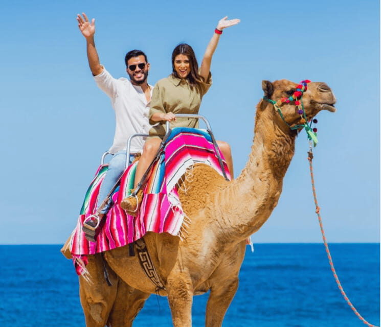 Cabo: Camel Safari Adventure with Tacos - In-Depth Review of the Cabo Camel Safari with Tacos