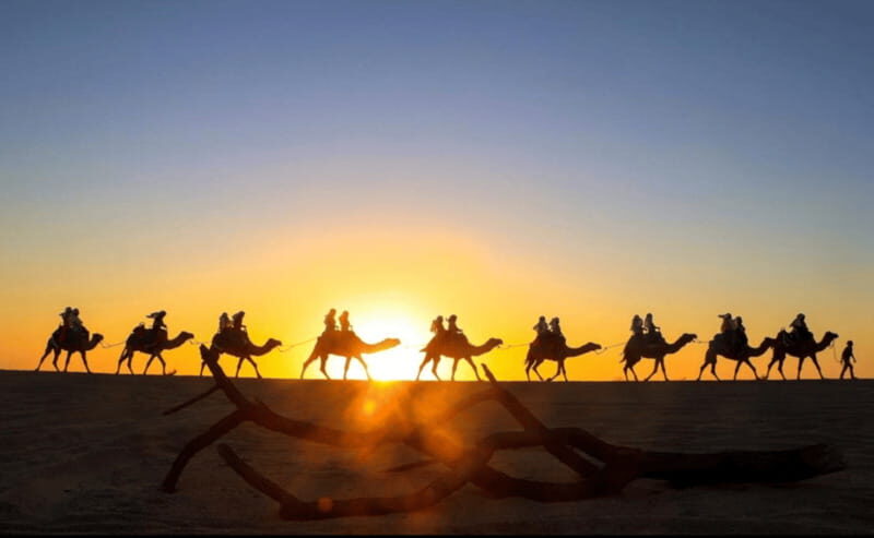 Cabo: Camel Safari Adventure with Tacos - FAQ
