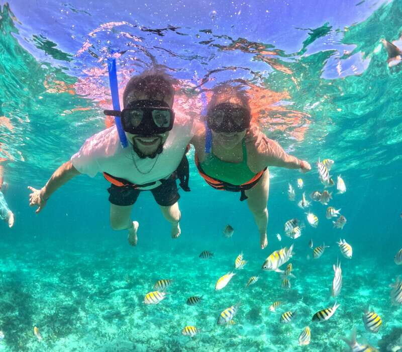 Cabo Catamaran Cruise  Arch, Snorkeling, Open Bar & Snacks - Final Thoughts