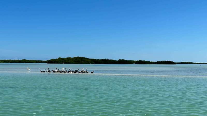 Cabo Catoche Snorkel And Fishing - What Past Participants Say