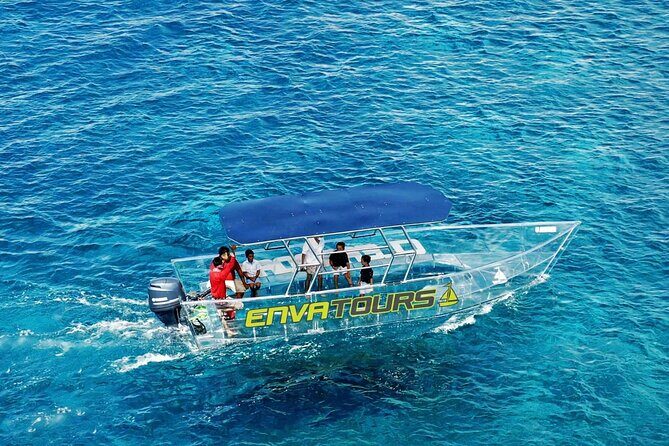 Cabo Clearboat to the Arch Tour Marine Life and Iconic Views - Key Points