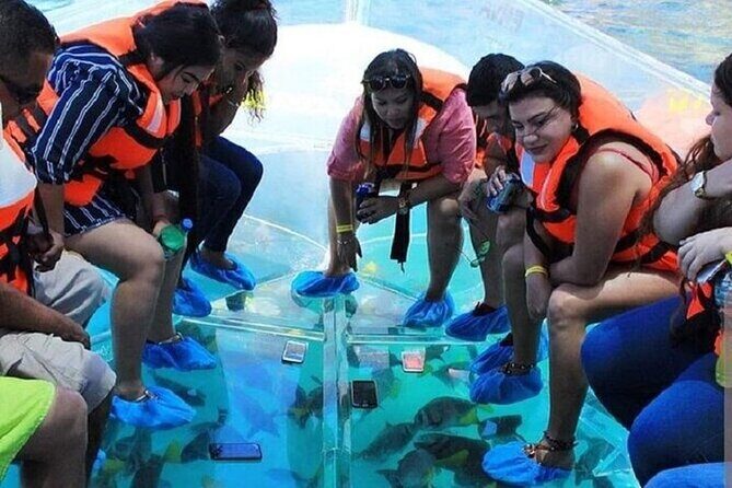 Cabo Clearboat Tour to the Arch with Transportation - Final Thoughts