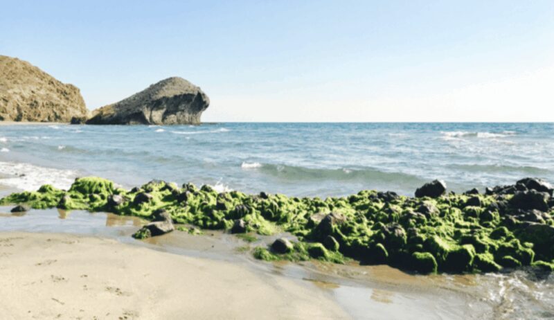 Cabo de Gata: 4x4 Tour Genoveses, Monsul and Gold Mines - A Closer Look at the Cabo de Gata 4x4 Tour