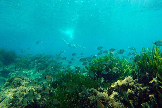 Cabo de Gata Active. Guided kayak and snorkel route through coves of the Natural Park - The Value Proposition