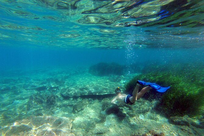 Cabo de Gata Active. Guided kayak and snorkel route through coves of the Natural Park - Final Thoughts