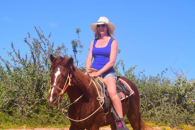 Cabo Desert Off-Road & Beach Horseback Combo and Tequila Tasting - Who Should Consider This Tour?