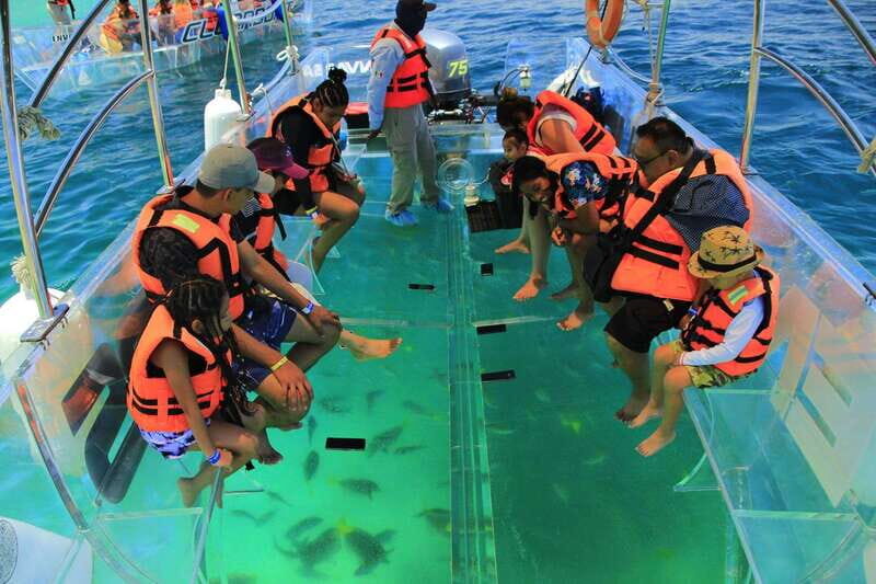 Cabo Encounter with Optional Clear Boat and Lunch - Who Is This Tour Best For?
