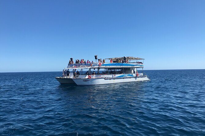 Cabo Escape Snorkel Fun Cruise - Price, Value, and Practical Tips