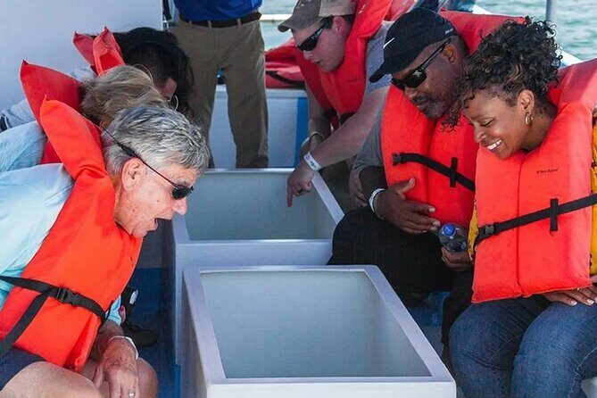 Cabo Glass-Bottom Boat Arch, Marine Life & Scenic Views - FAQ