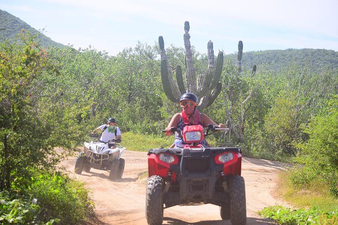 Cabo Original Real Baja 1000 Tour (Single ATV) - Exploring the Baja California Wilderness with the Cabo Original Real Baja 1000 Tour (Single ATV)