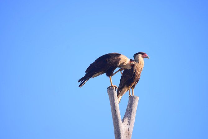 Cabo Original Real Baja 1000 Tour (Single ATV) - FAQs