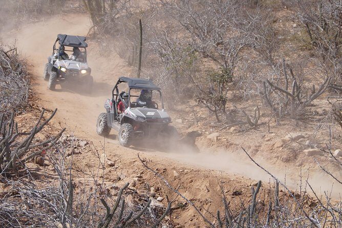 Cabo Original Real Baja 1000 Tour (Triple UTV) - Flexibility & Additional Options