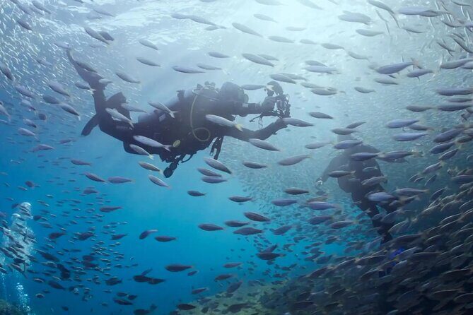 Cabo Pulmo Diving Adventure - The Sum Up: Is It Worth It?