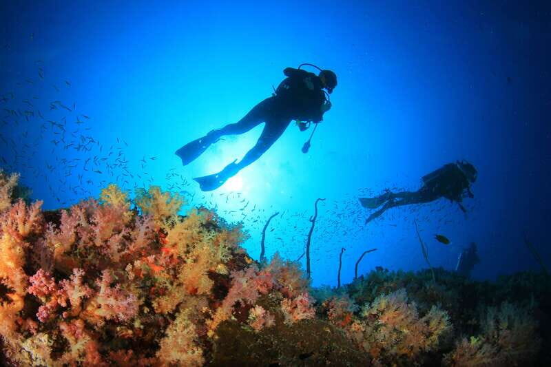 Cabo Pulmo Marine Park: Scuba Diving Excursion - The Diving Experience