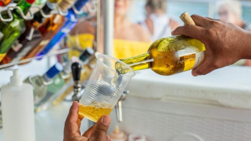 Cabo San Lucas: 2 Hour Sunset Cruise with Food and Wine - Ending the Cruise