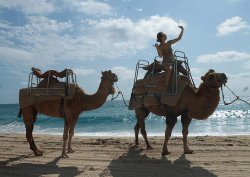 Cabo San Lucas: Amazing Camel Adventure on the Beach - A Closer Look at the Camel Adventure Experience