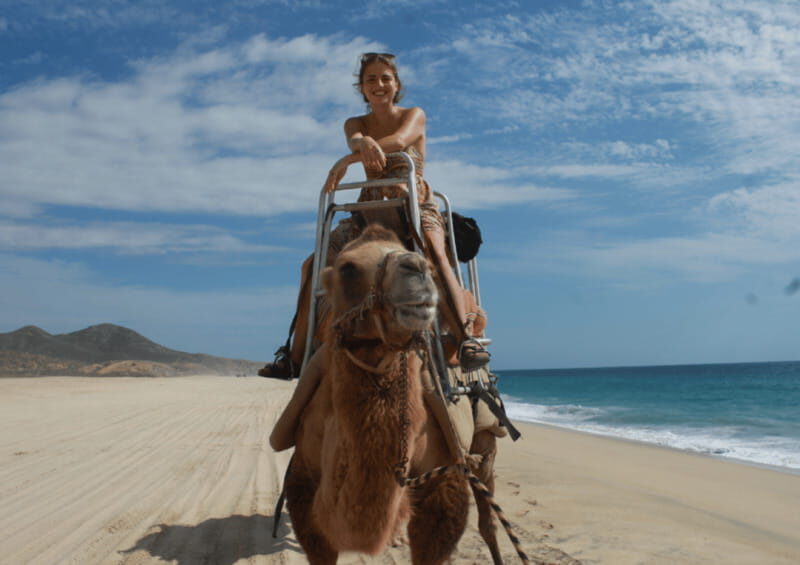 Cabo San Lucas: Amazing Camel Adventure on the Beach - Final Thoughts