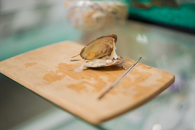 Cabo San Lucas and San Jose del Cabo Sightseeing Tour - FAQs