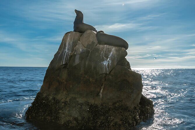 Cabo San Lucas Arch & City Tour: Glass-Bottom Boat & Tequila - Who Should Consider This Tour?