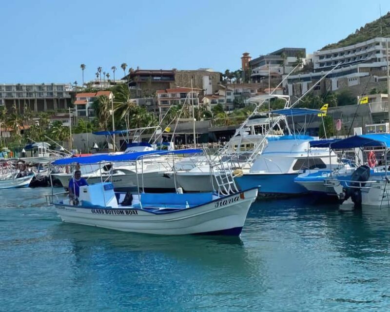 Cabo San Lucas: Arch Tour Glass Bottom Boat - An In-Depth Look at the Cabo San Lucas Glass Bottom Boat Tour
