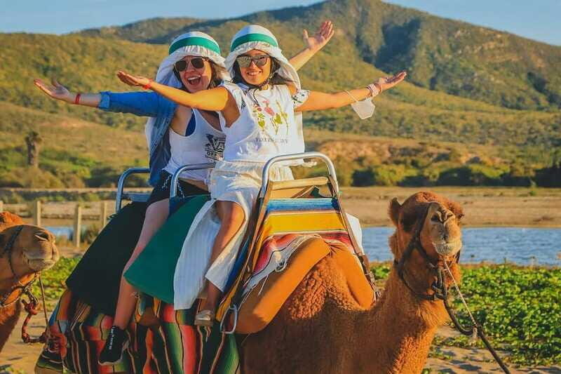 Cabo San Lucas: ATV/Camel/Horse Combo Tour - Final Thoughts