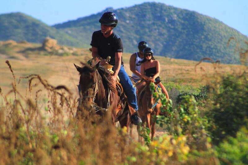 Cabo San Lucas: Beach & Desert Horseback Riding Tour - Exploring Baja California Sur on Horseback