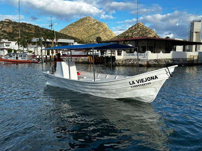 Cabo San Lucas: boat tour around the peninsula and stay at the beach - The Sum Up