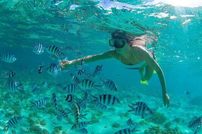 Cabo San Lucas: Cabo Pulmo Snorkeling Expedition - Cabo San Lucas: Cabo Pulmo Snorkeling Expedition