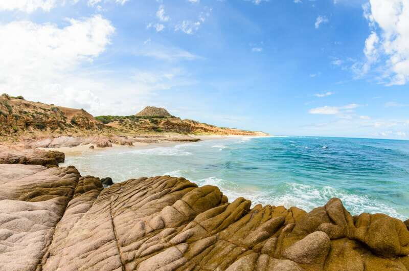 Cabo San Lucas: Cabo Pulmo Snorkeling Expedition - Key Points