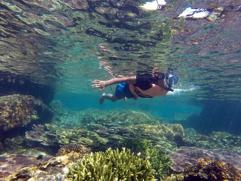 Cabo San Lucas: Cabo Pulmo Snorkeling Expedition - The Sum Up