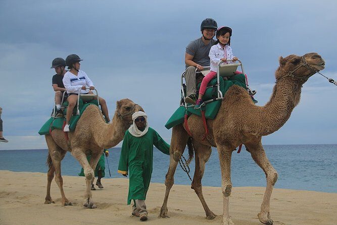 Cabo San Lucas Camel Ride and Encounter on Beach and Desert - Who Will Enjoy This Tour?