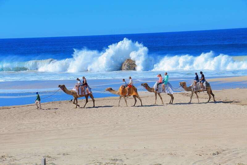 Cabo San Lucas: Camel Ride & Off-Road UTV Combo Adventure - Key Points