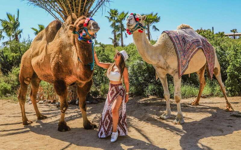 Cabo San Lucas: Camel Ride & Off-Road UTV Combo Adventure - An Authentic and Exciting Day in Los Cabos