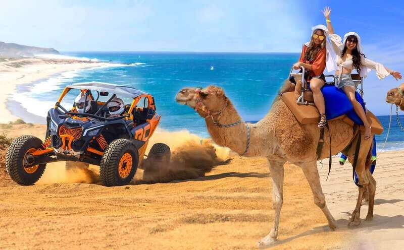 Cabo San Lucas: Camel Ride & Off-Road UTV Combo Adventure - The Sum Up