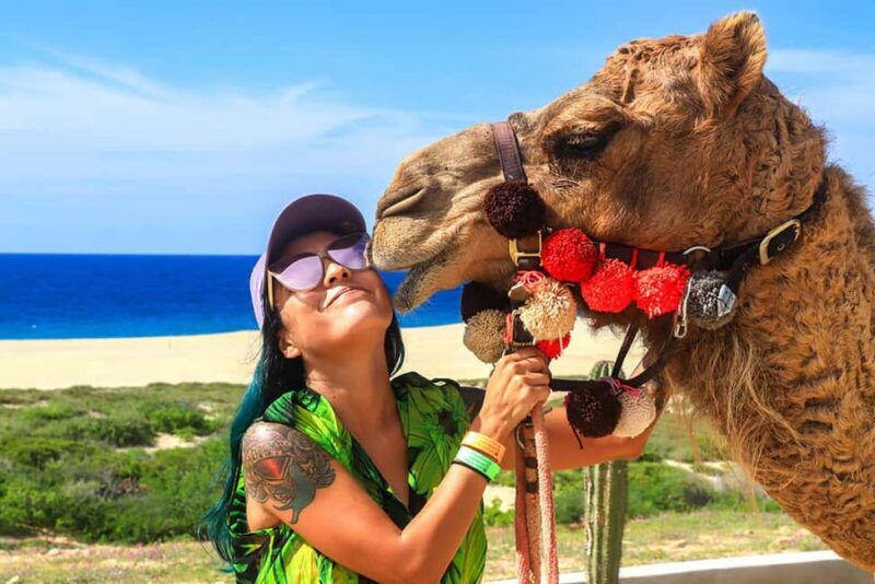 Cabo San Lucas: Camel Ride on the Beach - Introduction: What’s in Store for You?