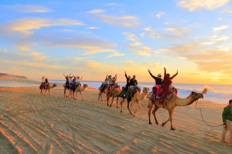 Cabo San Lucas: Camel Ride on the Beach - Who Should Consider This Tour?