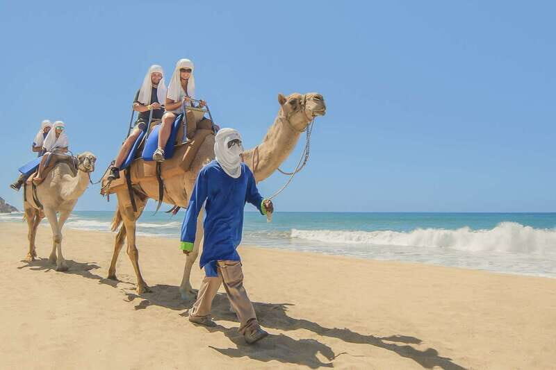 Cabo San Lucas: Camel Safari Tour with Lunch and Tequila - A Deep Dive Into the Experience