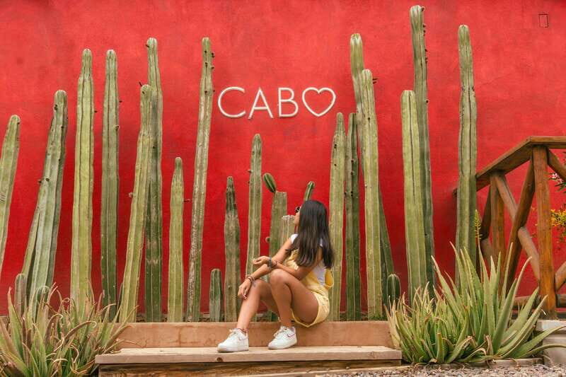 Cabo San Lucas: Camel Safari Tour with Lunch and Tequila - Who Should Consider This Tour?