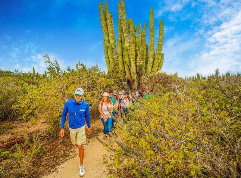 Cabo San Lucas: Camel Safari Tour with Lunch and Tequila - FAQ