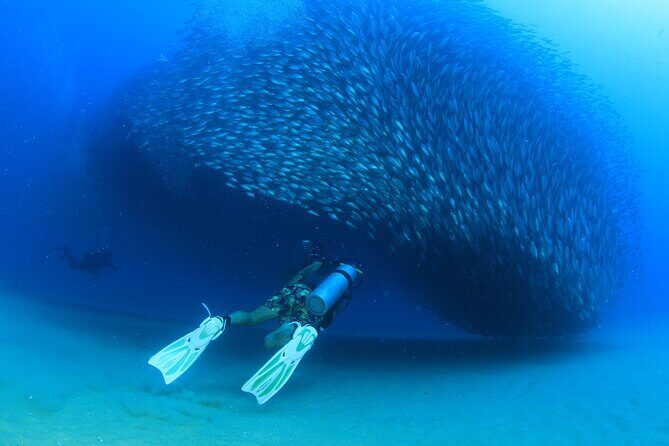Cabo San Lucas Certified 2 Tank Dive at the Famous Arch and Land's End - Frequently Asked Questions