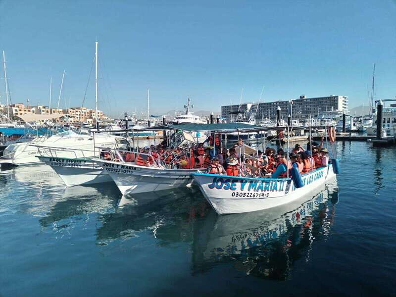 Cabo San Lucas: Classic Tour to the Arch in Glass Bottom - Practical Tips for Making the Most of Your Tour