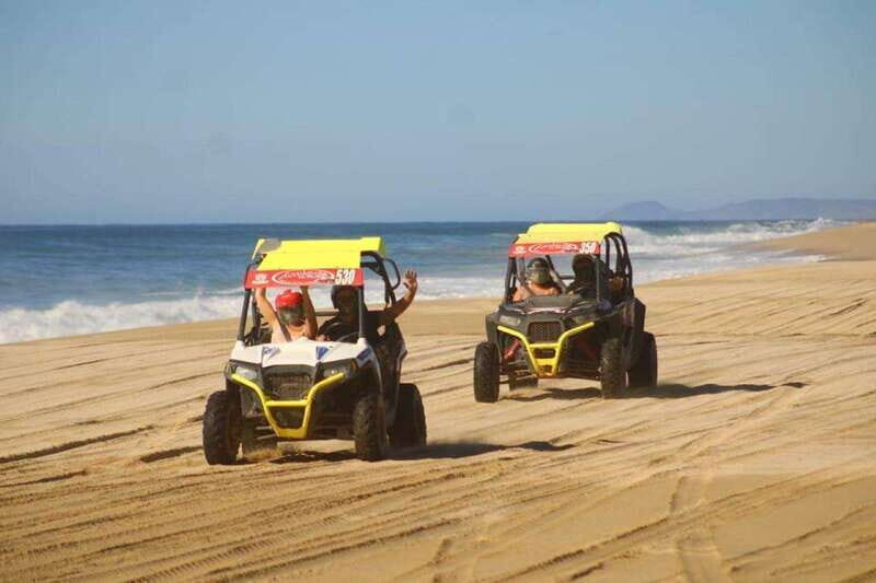 Cabo San Lucas: Desert and Beach RZR and Horseback Riding - Key Points