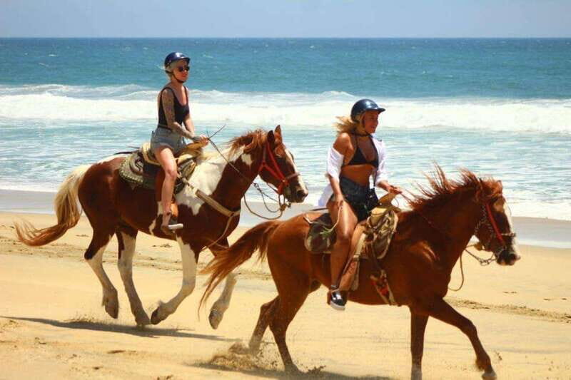 Cabo San Lucas: Desert and Beach RZR and Horseback Riding - FAQ
