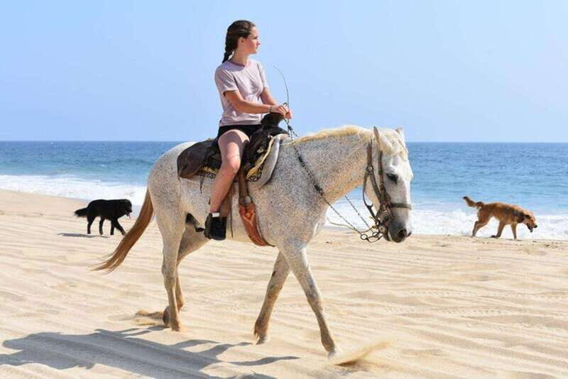 Cabo San Lucas: Desert ATV & Beach Horseback Combo - What to Expect from the Tour