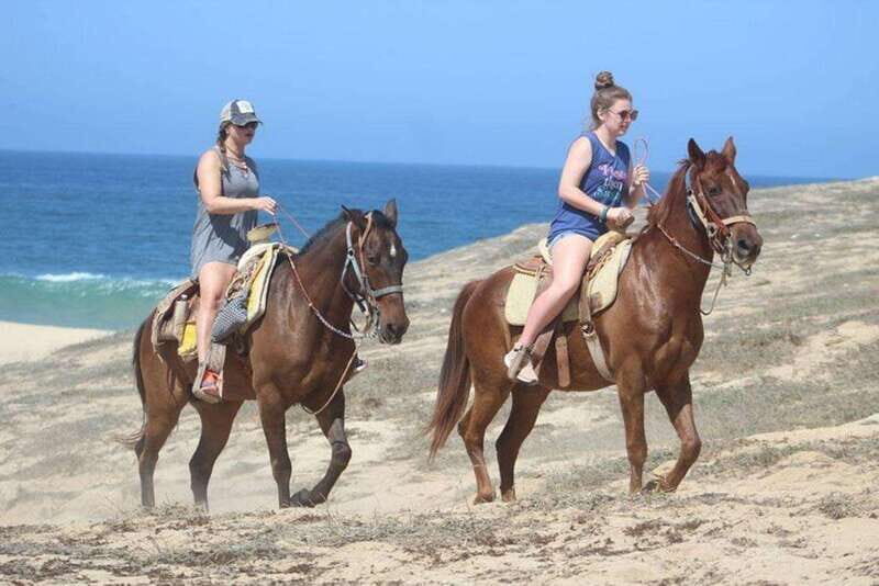 Cabo San Lucas: Desert ATV & Beach Horseback Combo - Who Will Appreciate This Tour?