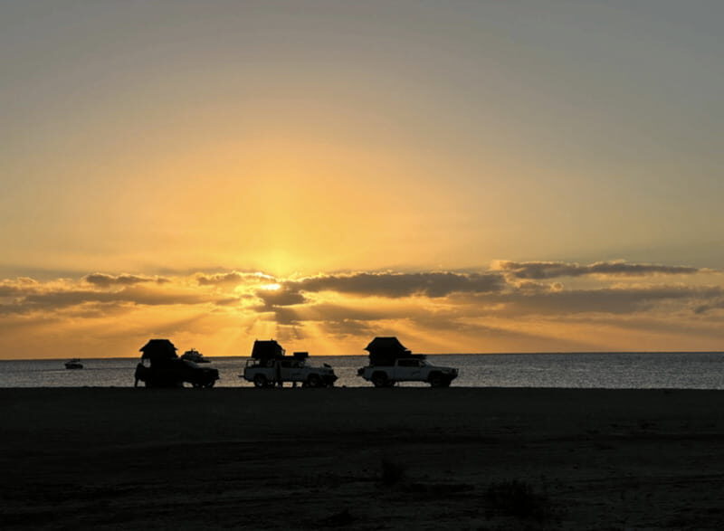 Cabo San Lucas: Discover Baja 4-Day Safari - An In-Depth Look at the Cabo San Lucas: Discover Baja 4-Day Safari