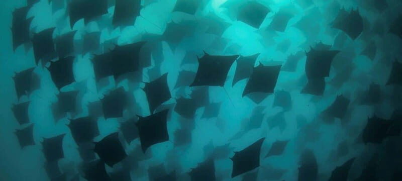Cabo San Lucas: Discover Scuba Diving Experience - Cabo San Lucas: Discover Scuba Diving Experience