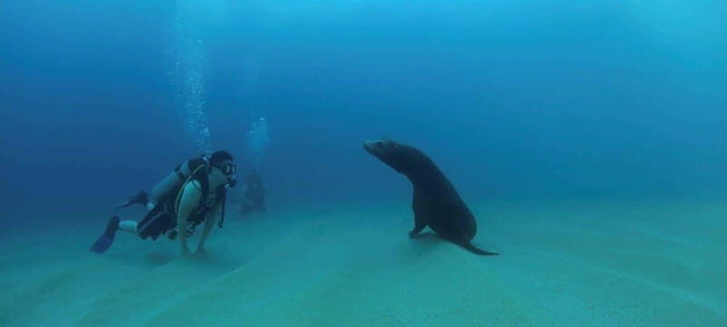 Cabo San Lucas: Discover Scuba Diving Experience - Who Should Consider This Experience?